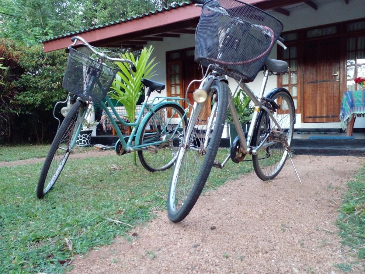 Sigiri Shen Residence สิกิริยา ภายนอก รูปภาพ
