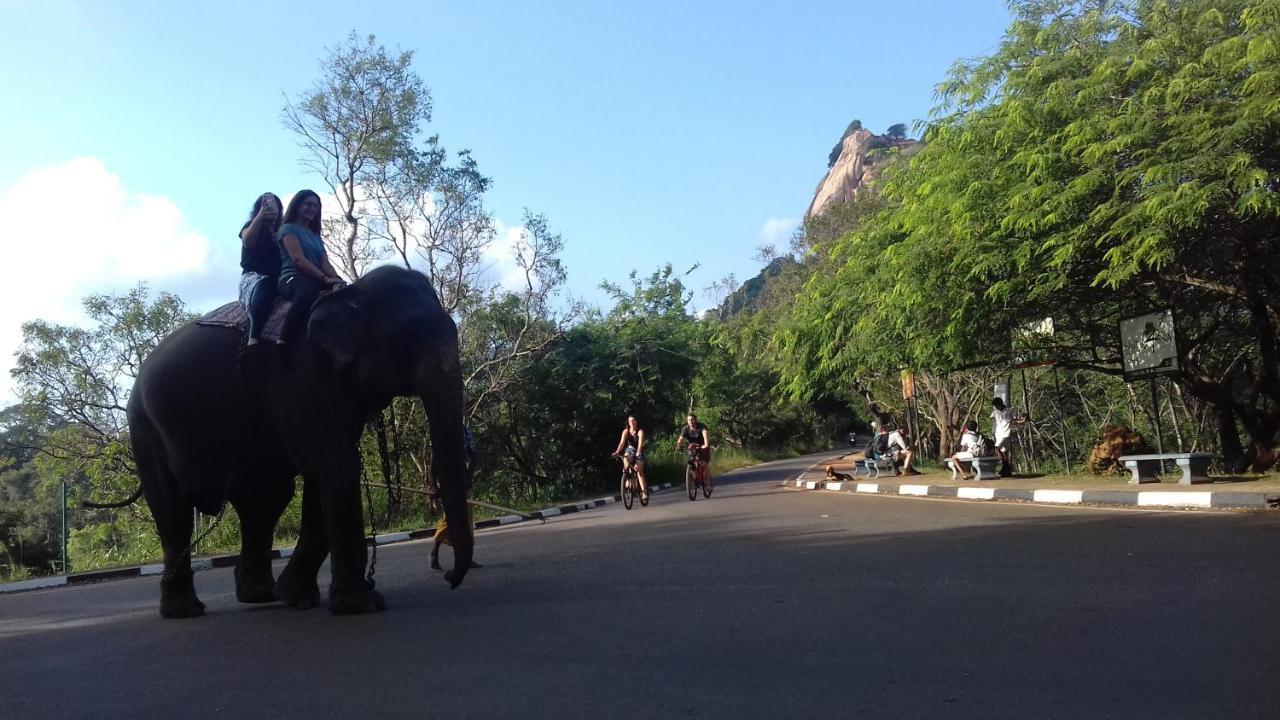Sigiri Shen Residence สิกิริยา ภายนอก รูปภาพ